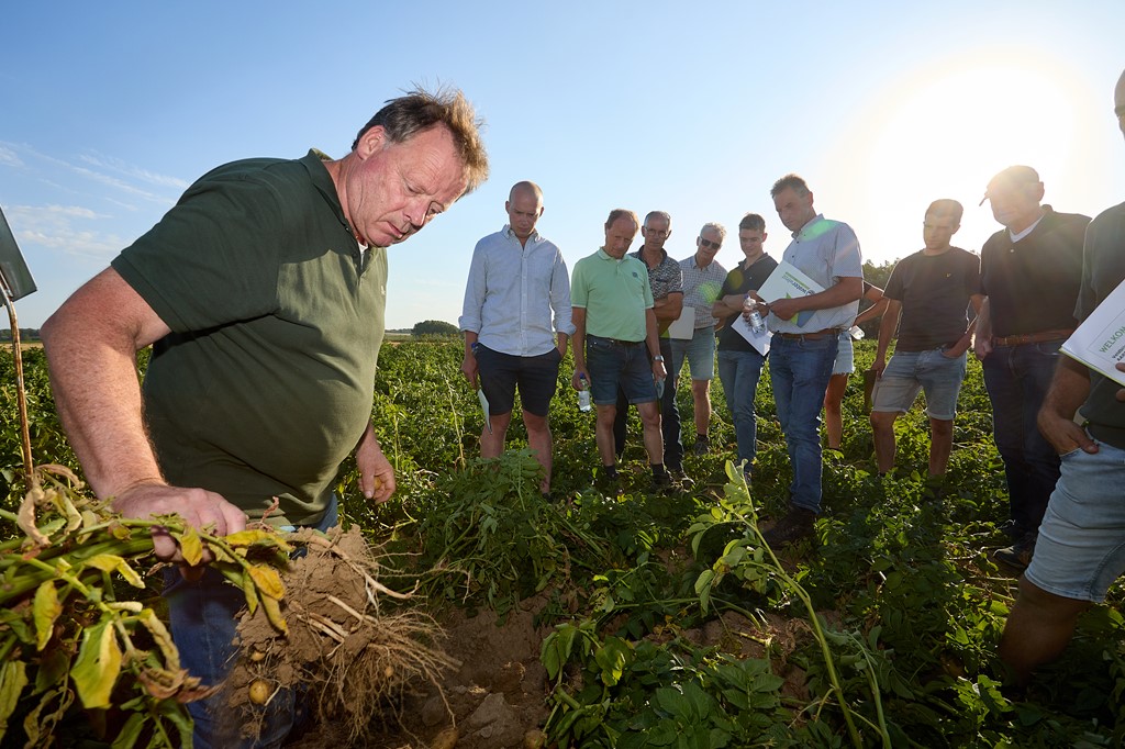 Veldbijeenkomst aardappelteelt Zuid-Limburg