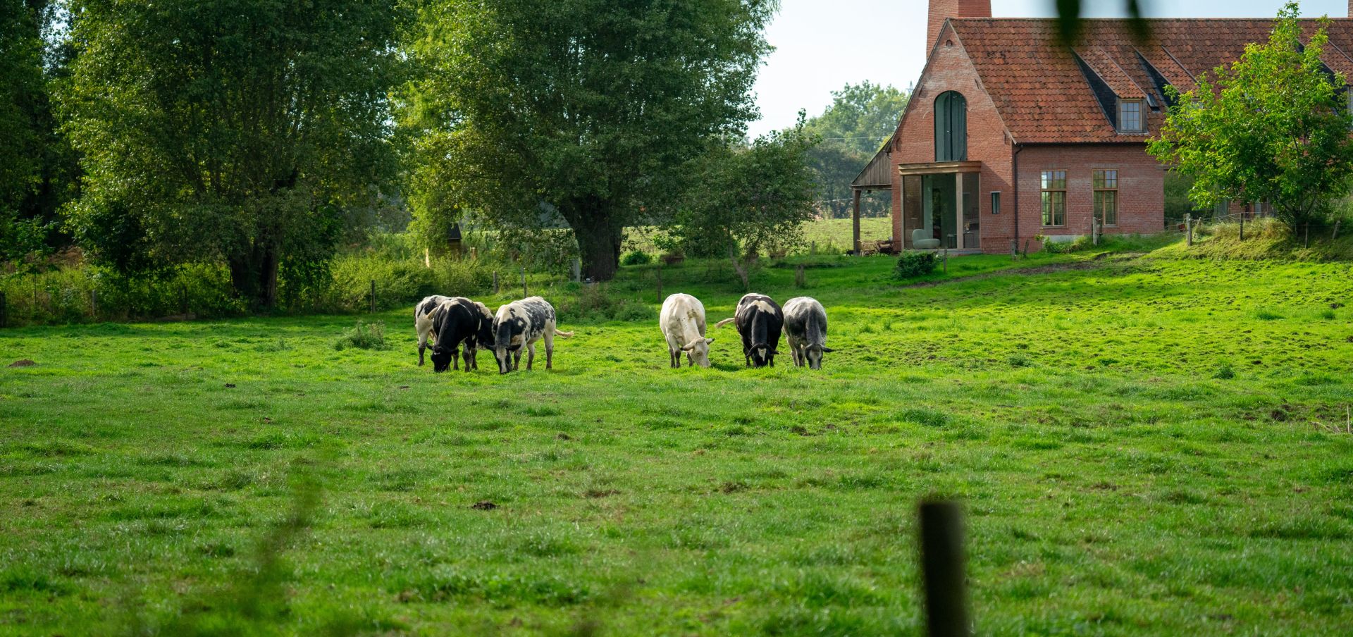 boerderij