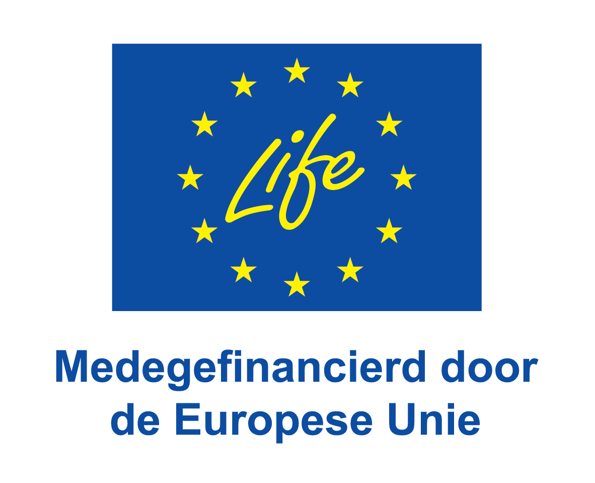 nlvmedegefinancierddoordeeuropeseunie_pos.png