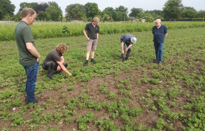 rotational cultivation project