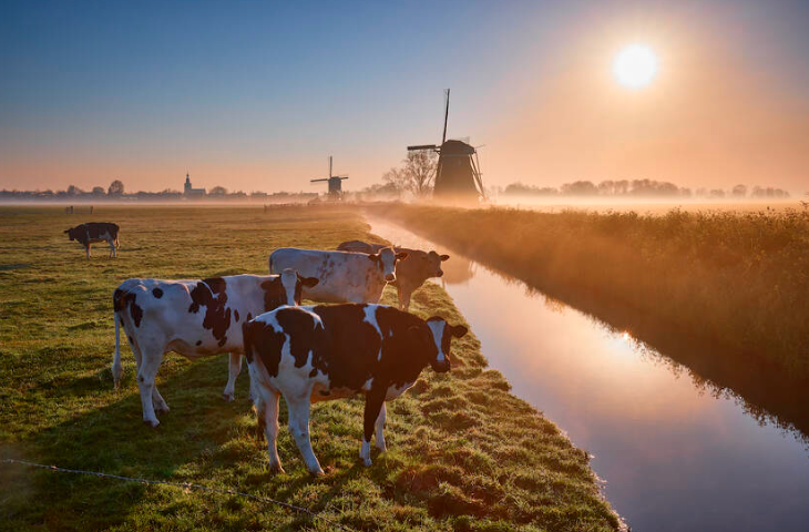 farming with nature