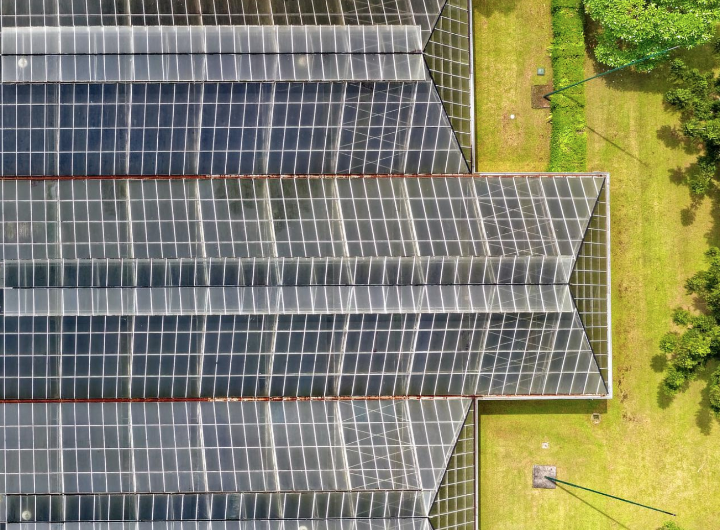 save the date: come into the greenhouse