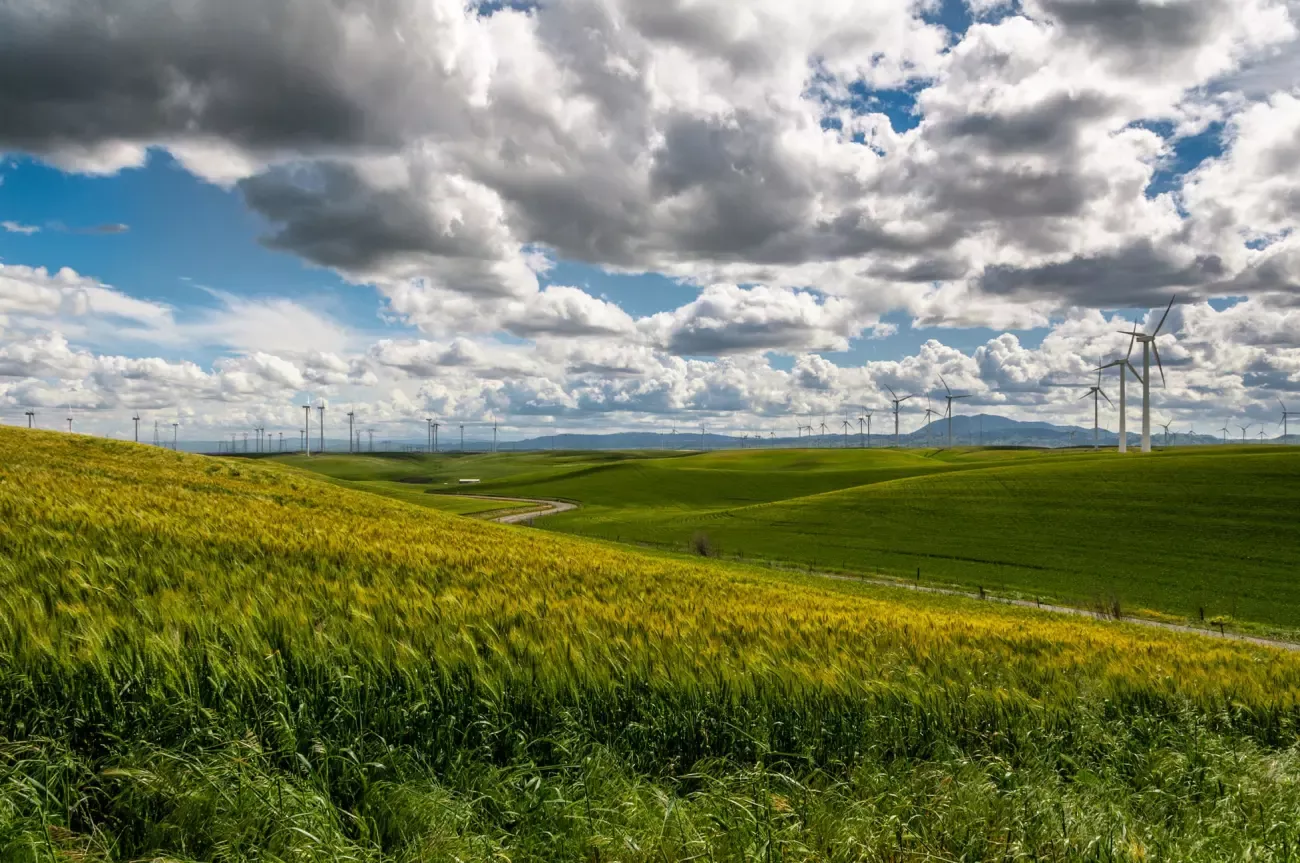 windmills