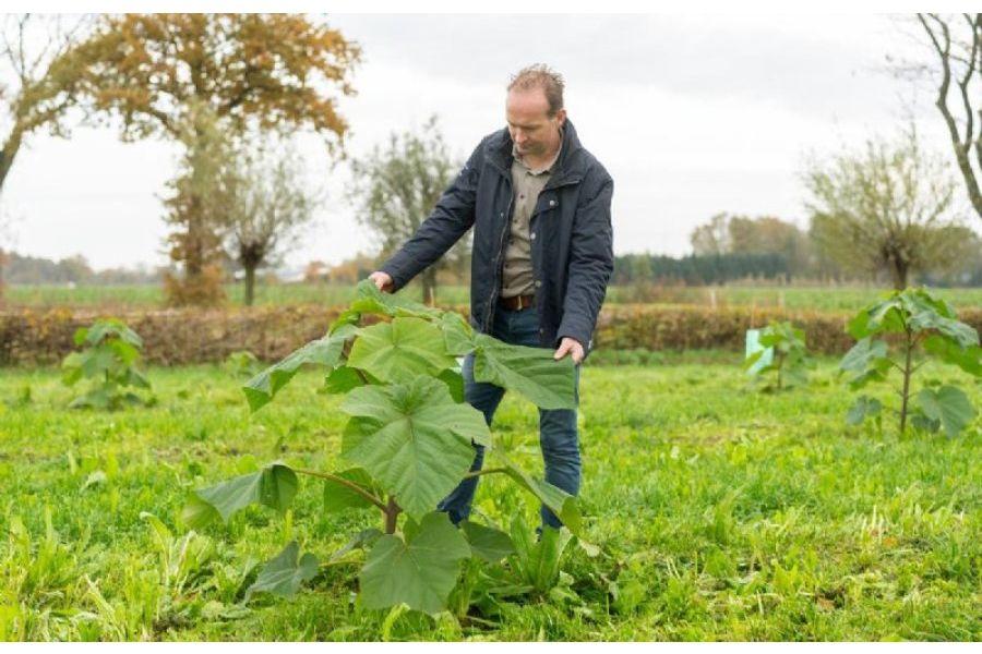 farmer