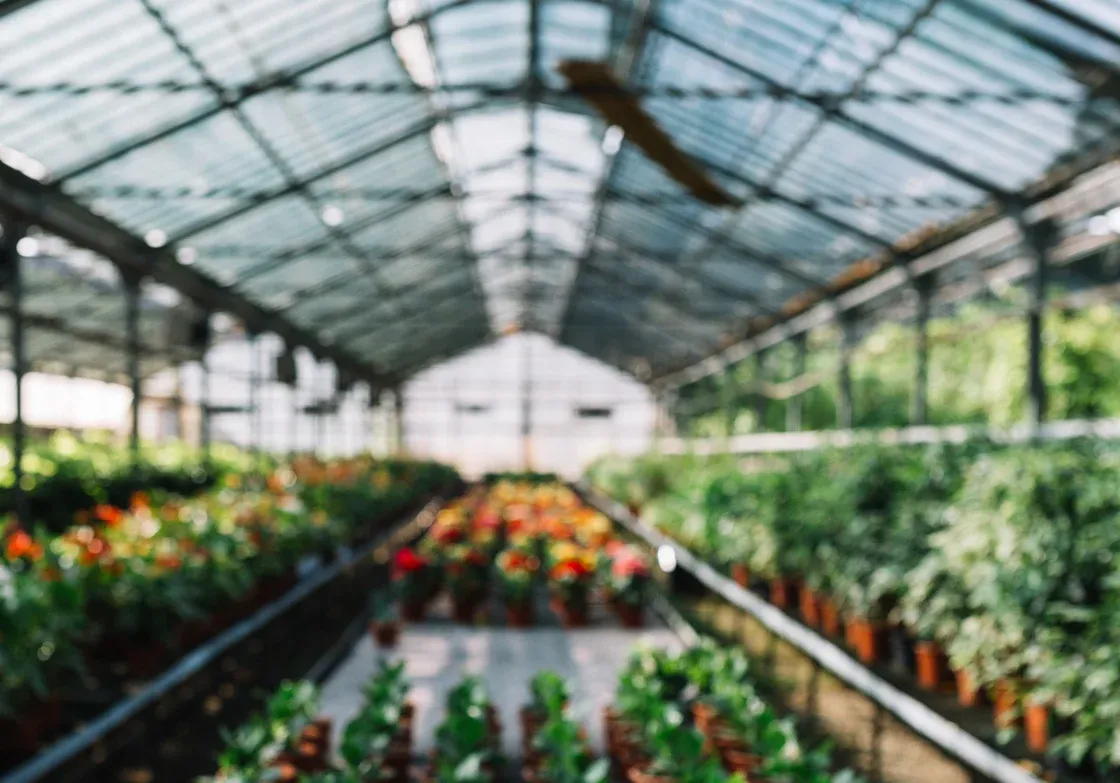 greenhouse for the future