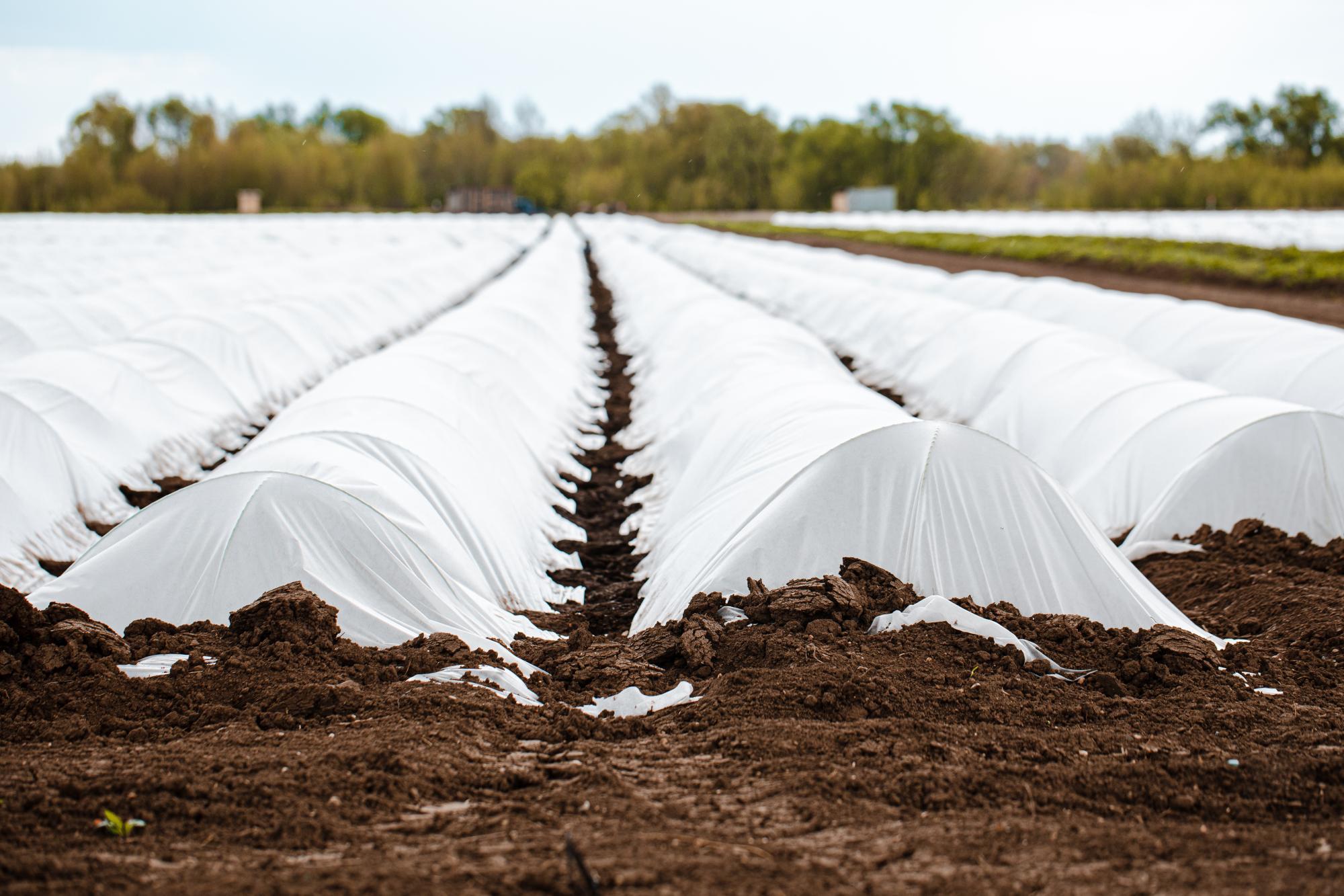 agricultural plastic