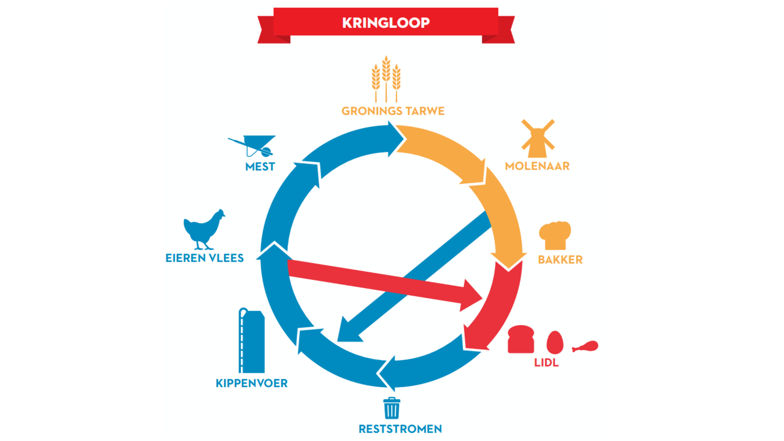 chicken star circle