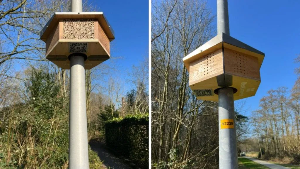 BeeGrateful