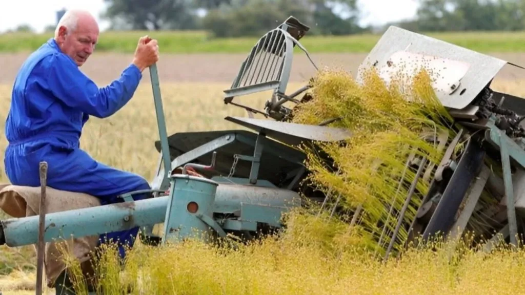 biobased cultivation