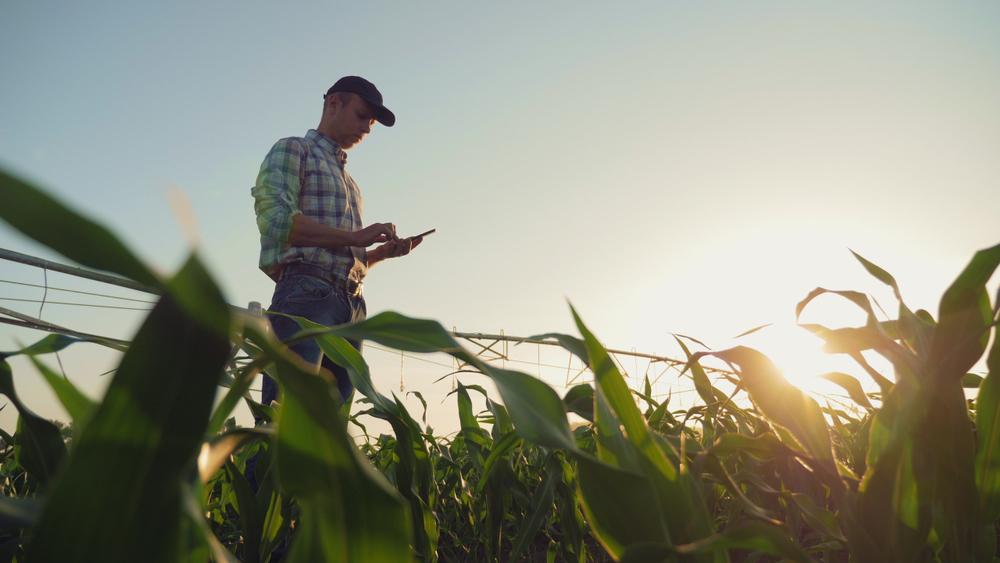 Bio-based fertilisers