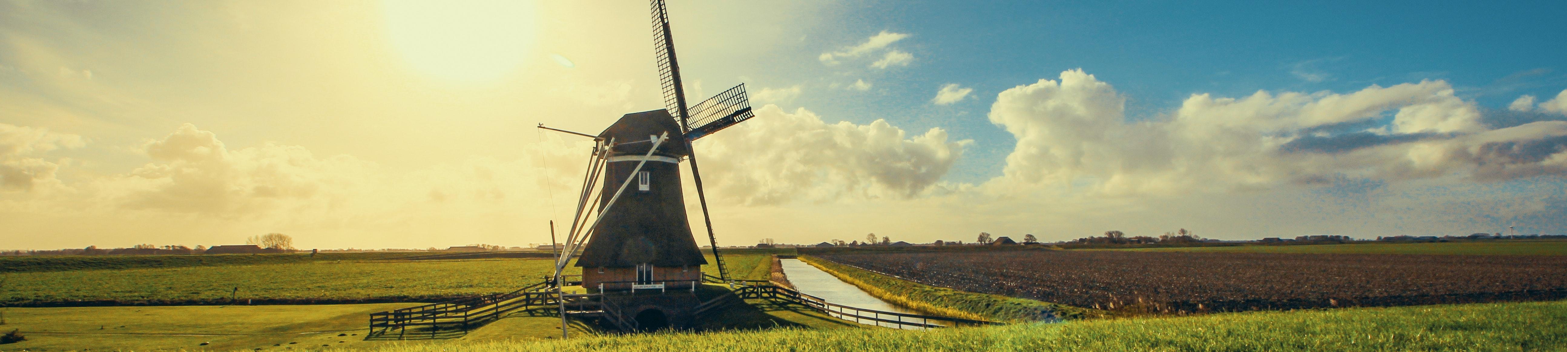 mill in the polder